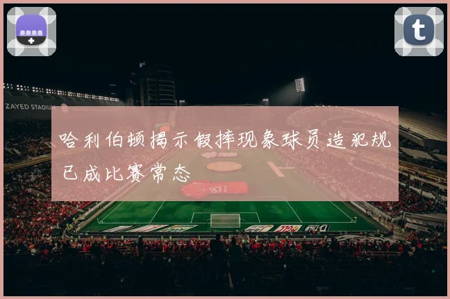 哈利伯顿揭示假摔现象球员造犯规已成比赛常态